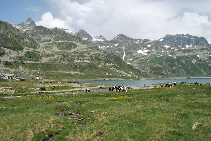  Valle Spluga